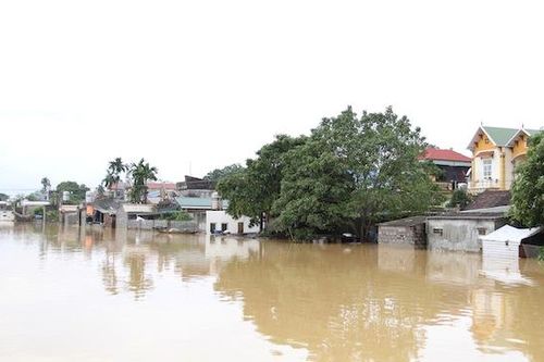 Hà Nội yêu cầu 5 địa phương chủ động ứng phó lũ rừng ngang do mưa kéo dài trong bão số 8