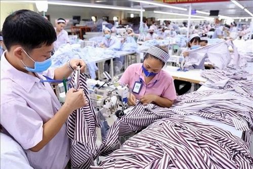 Đồng Nai: Tạo điều kiện cho doanh nghiệp sớm hoạt động trở lại