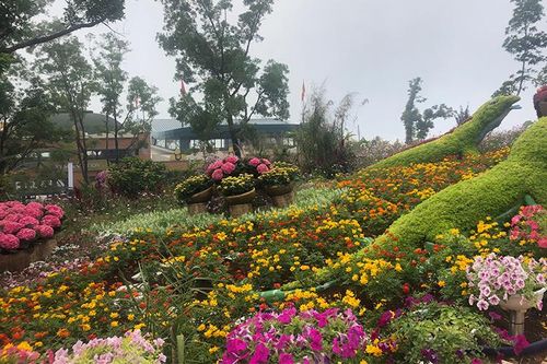 Từng bước phục hồi liên kết du lịch vùng Đông Nam Bộ
