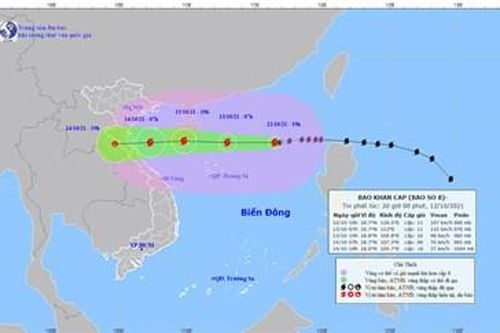 Từ đêm 13 đến 14-10, bão số 8 ảnh hưởng trực tiếp vùng ven biển và đất liền