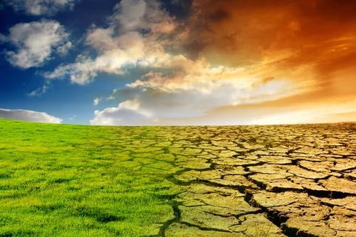 Cực nóng: 'Bắt' được thủ phạm đẩy thế giới tới họa diệt vong năm 2100?