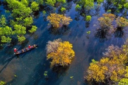 Ngất ngây vẻ đẹp cùng sắc thu Rú Chá