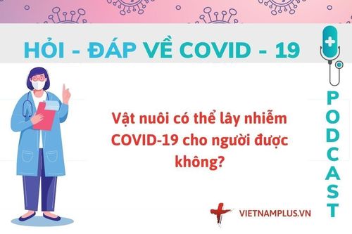 Hỏi đáp COVID-19: Vật nuôi có làm lây lan virus SARS-CoV-2 hay không?