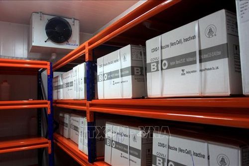 Thái Bình vận hành kho lạnh bảo quản 1 triệu liều vaccine ngừa COVID-19