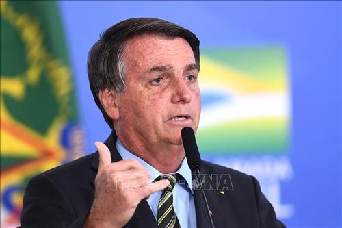 Tổ chức bảo vệ môi trường khởi kiện Tổng thống Brazil hủy hoại rừng Amazon