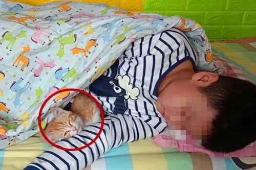 Thường xuyên bị bắt nạt, bé trai 9 tuổi bị trầm cảm và hành động mất kiểm soát khi thấy người lạ