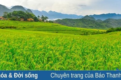 Pù Luông - 'Thiên đường giữa đại ngàn' vắng khách vì dịch COVID-19