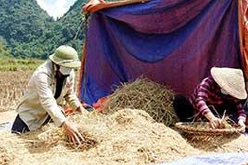 Bắc Sơn: Hối hả thu hoạch mùa sớmTin khácĐổi mới giáo dục từ ứng dụng công nghệ thông tinVững vàng trên trận tuyến chống 'giặc lửa'