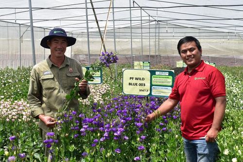 Khuyến nông theo hướng nâng cao giá trị gia tăng