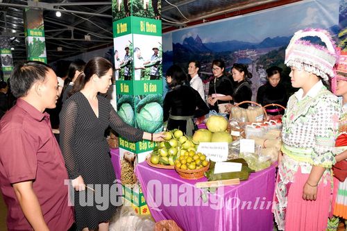 Na Hang khôi phục các hoạt động du lịch