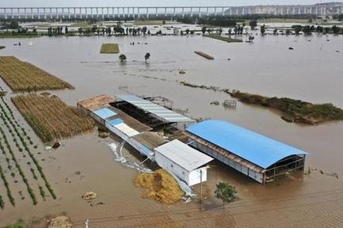 Trung Quốc: Xe buýt bị lũ lớn nhấn chìm, 13 người thiệt mạng