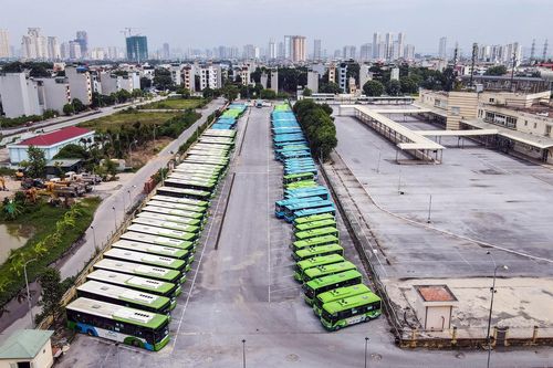 Hàng trăm xe buýt ở Hà Nội chờ ngày lăn bánh trở lại