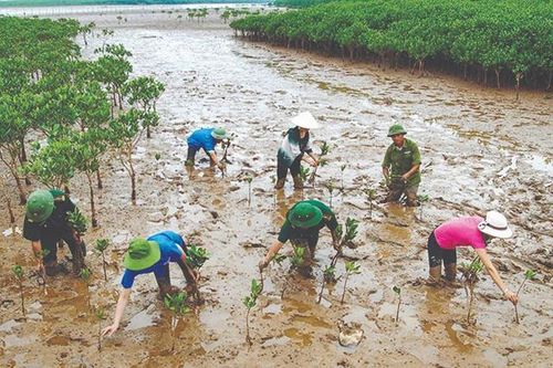 ADB nâng tham vọng tài trợ khí hậu giai đoạn 2019-2030 lên 100 tỷ USD