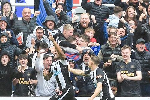 Newcastle: Đợi chờ một cuộc lột xác