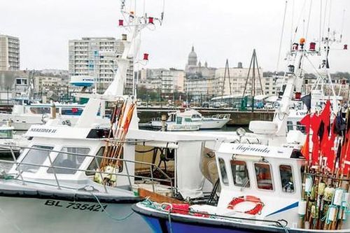 Tranh cãi đánh bắt cá hậu Brexit: EU dọa trả đũa Anh