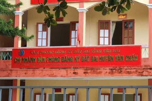 Yên Bái: Làm trái để vụ lợi, Chủ tịch Hội Nông dân huyện Văn Chấn bị khởi tố