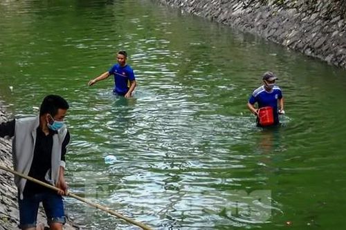 Nước sông Tô Lịch đổi màu xanh ngắt, người dân đội mưa bắt cả tạ cá