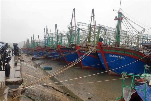 Nghệ An, Hải Phòng sẵn sàng ứng phó với bão số 8 sẽ gây mưa lớn
