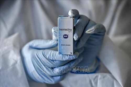 New Zealand cảnh báo sử dụng ivermectin trong điều trị COVID-19