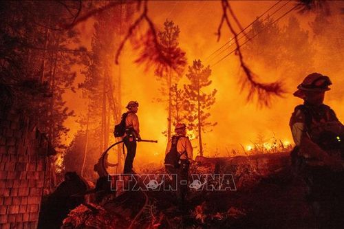 Phong tỏa một xa lộ lớn tại bang California do cháy rừng bùng phát