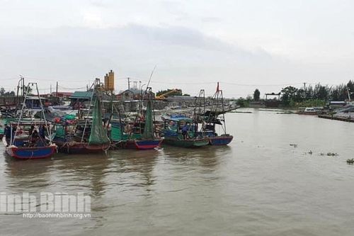 Khẩn trương triển khai phương án ứng phó bão số 8