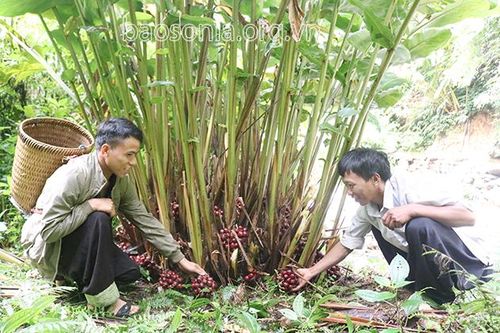 Bước chuyển Chiềng Ân