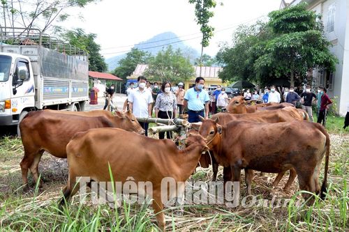Đồng hành cùng nông dân xây dựng quê hương