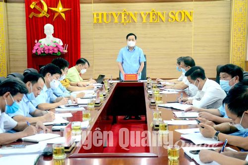 Yên Sơn hình thành 4 vùng sản xuất nông nghiệp