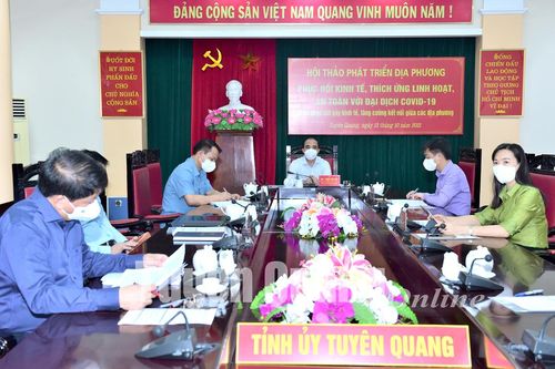 Hội thảo về thích ứng linh hoạt, an toàn với đại dịch Covid-19