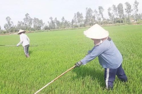 Kinh tế Nông nghiệp - Nông thôn Nhiều giải pháp phát triển sản xuất