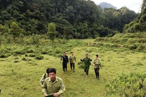 Chuyện 'vàng tặc' thời nào cũng 'nóng'