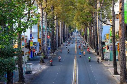 Bỏ phố hay trụ lại: Về quê bình an nhưng... lạc chỗ