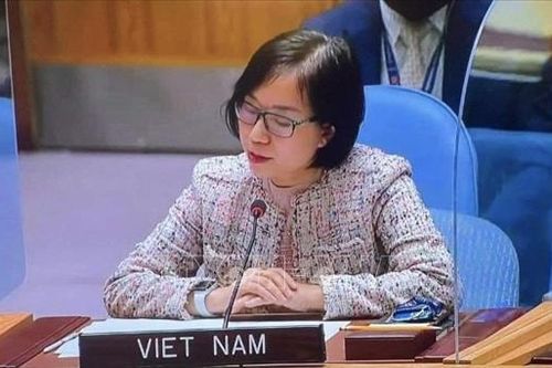 Việt Nam hoan nghênh bổ nhiệm các đặc phái viên của Liên hợp quốc về Tây Sahara