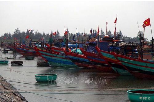 Bão số 8 suy yếu thành áp thấp nhiệt đới, đi vào Thanh Hóa, Nghệ An