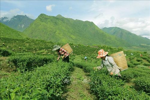 Phê duyệt Chương trình Mục tiêu quốc gia phát triển KT-XH vùng đồng bào dân tộc thiểu số và miền núi
