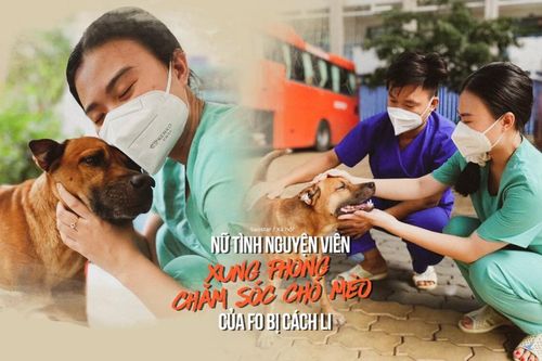 Nữ tình nguyện viên xung phong chăm sóc chó mèo của F0 bị cách li