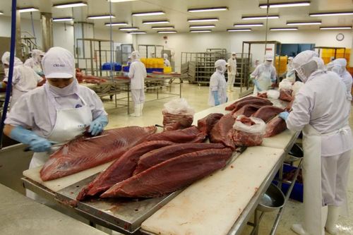 Sản xuất của doanh nghiệp dần ổn định