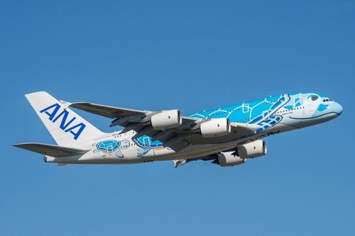 Nhật Bản phê duyệt phương thức bay hỗn hợp cho máy bay A380 và A320