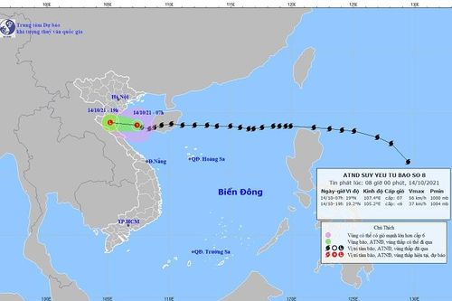 Bão số 8 suy yếu thành áp thấp nhiệt đới, Thanh Hóa mưa lớn