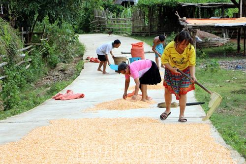 Bài 3: Hồi sinh nơi 'tâm bão' Huổi Khon