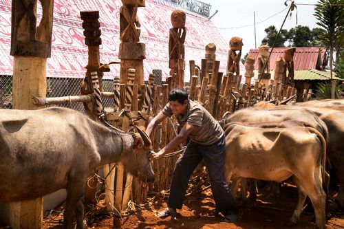 Đẩy lùi hủ tục ở buôn làng - Kỳ 2: Cất đi 'gánh nặng' lệ tục