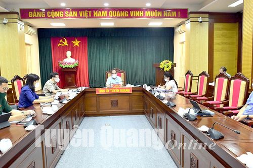 Thường trực Tỉnh ủy cho ý kiến một số chủ trương quan trọng