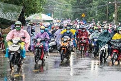 Bạn đọc Về quê, rồi sao nữa!