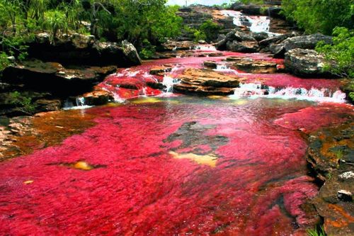 7 trải nghiệm kỳ thú khi đến 'cánh cổng vào Nam Mỹ'