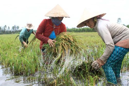 Khởi động Dự án 30 triệu USD về thích ứng với BĐKH