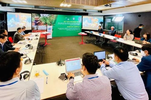 Hỗ trợ khu vực Tây Nguyên và duyên hải Nam Trung Bộ 30 triệu USD để thích ứng biến đổi khí hậu