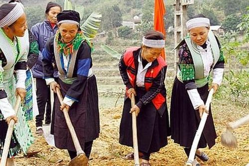 Phấn đấu mức thu nhập bình quân của người dân tộc thiểu số tăng trên 2 lần