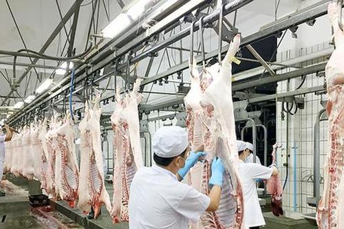 Giá lợn giảm xuống mức kỷ lục, đề xuất siết nhập khẩu thịt ngoại