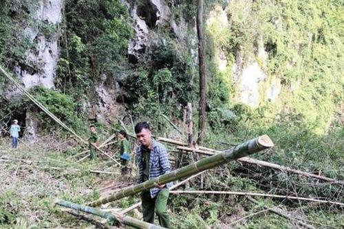 Khởi tố vụ án vườn dược liệu của hộ dân bị san phẳng