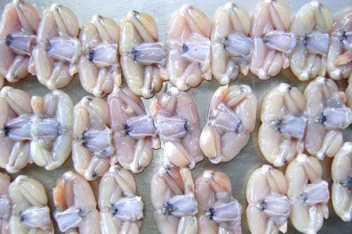 EU cảnh báo đùi ếch, bưởi Việt Nam vi phạm an toàn thực phẩm